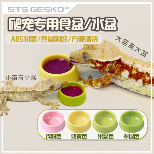 睫角食盆守宫果泥盆宠物水盆爬虫盖勾亚R属成体亚成小苗喂食碗