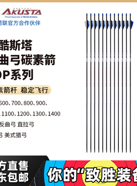 AKUSTA阿酷斯塔反曲弓碳素碳纤维箭支合金箭头比赛箭支