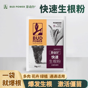 强力生根剂生根粉生根壮苗捍插扦插植物水培快速生根营养粉花肥