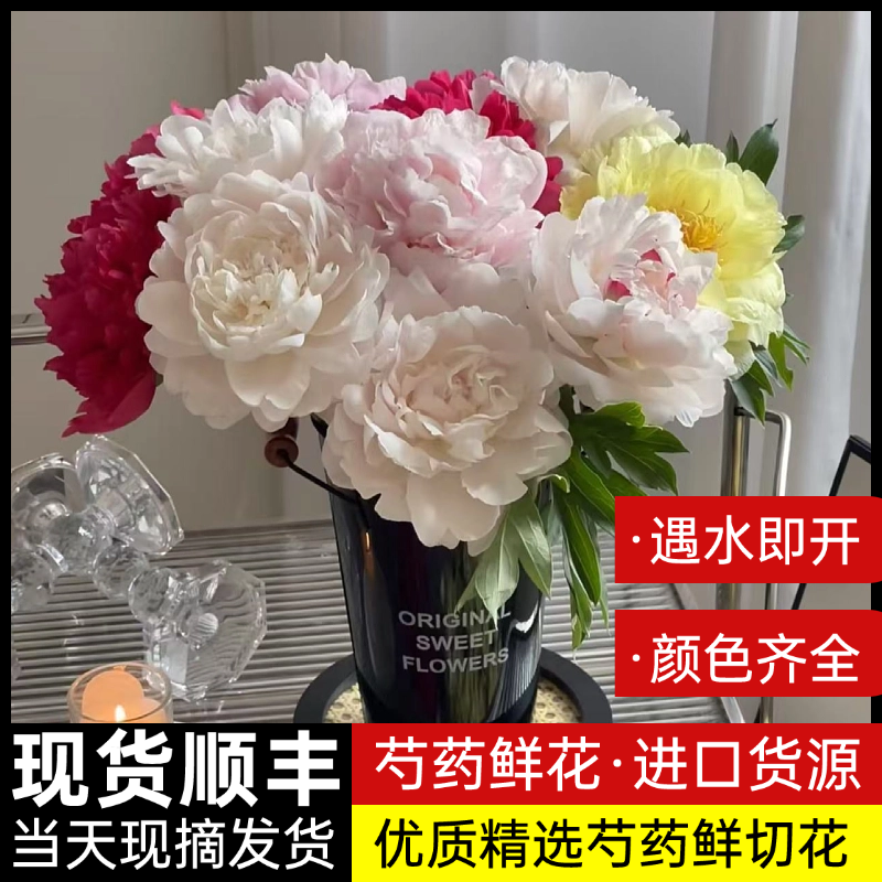 现货芍药鲜花牡丹重瓣花束云南鲜切花玫瑰百合花卉基地直发母亲节