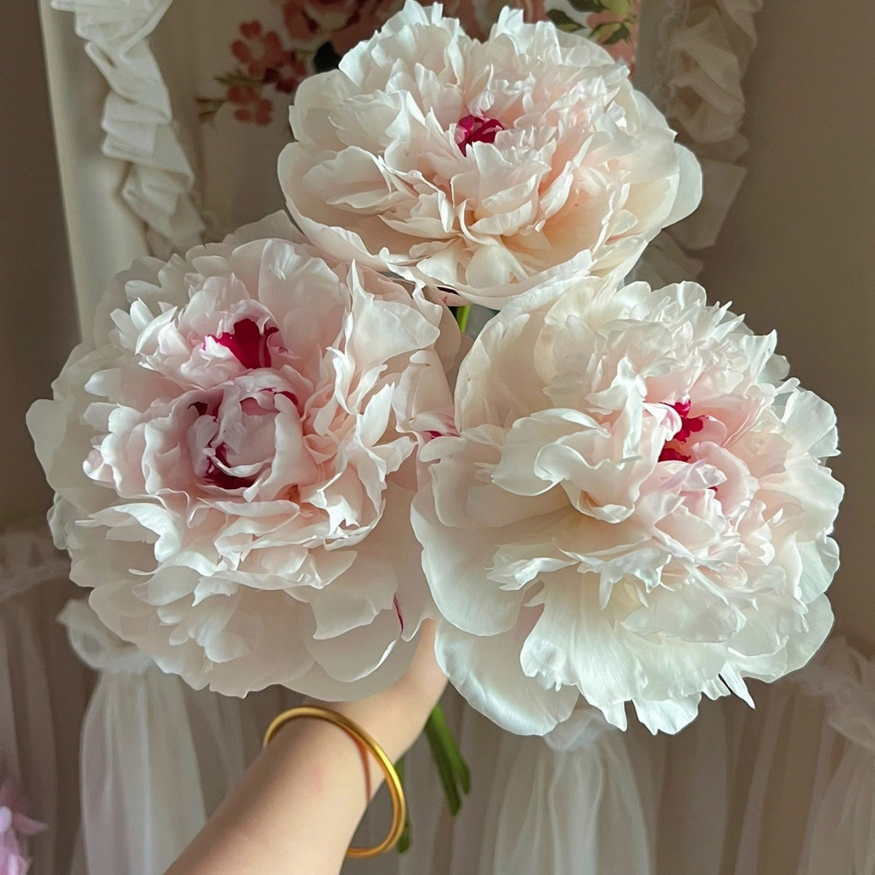 【三点红】现货速发芍药鲜切花重瓣花束