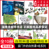 家门外 自然课 硬壳精装 正版 哇系列全10册 看蚂蚁蚯蚓草儿蘑菇树木噢中草药 9岁幼少儿童自然课科普动植物绘本插图漫画百科