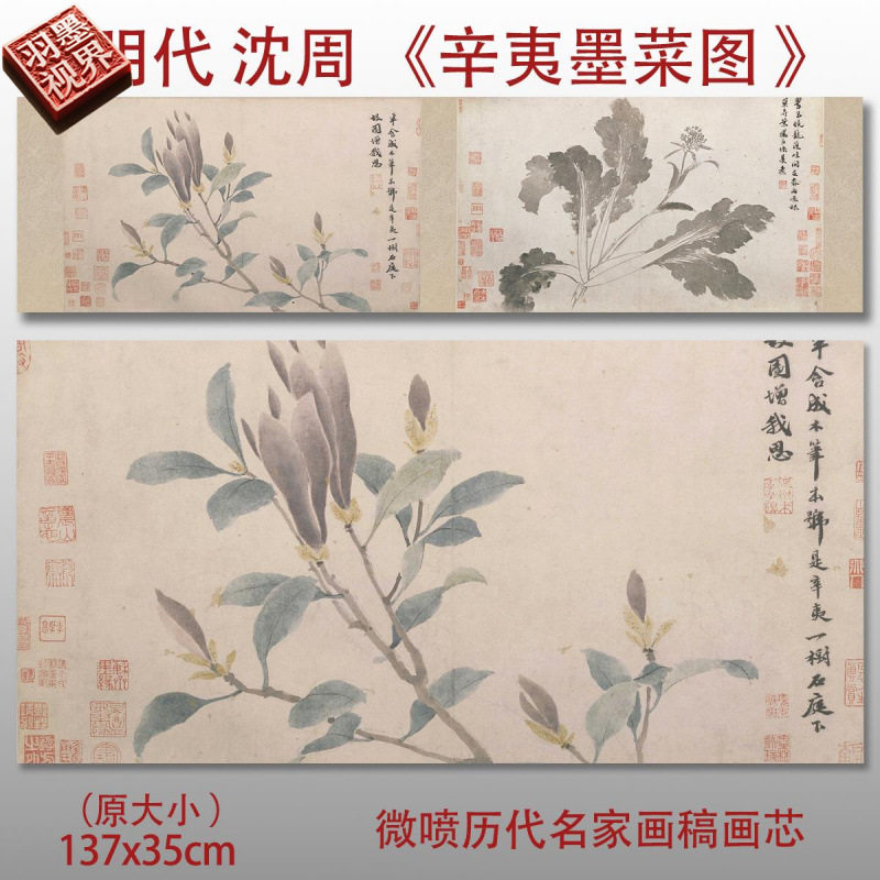 明沈周辛夷墨菜图国画水墨画艺术微喷宣纸复制画临摹画稿绢布画心