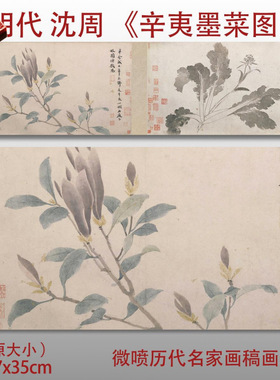 明沈周辛夷墨菜图国画水墨画艺术