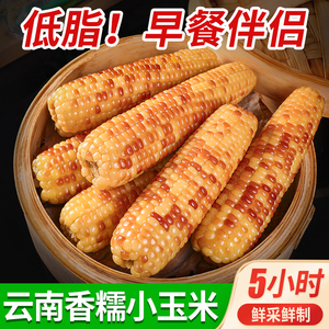 云南香糯玉米新鲜真空包装即食小玉米减低脂早餐轻食代餐