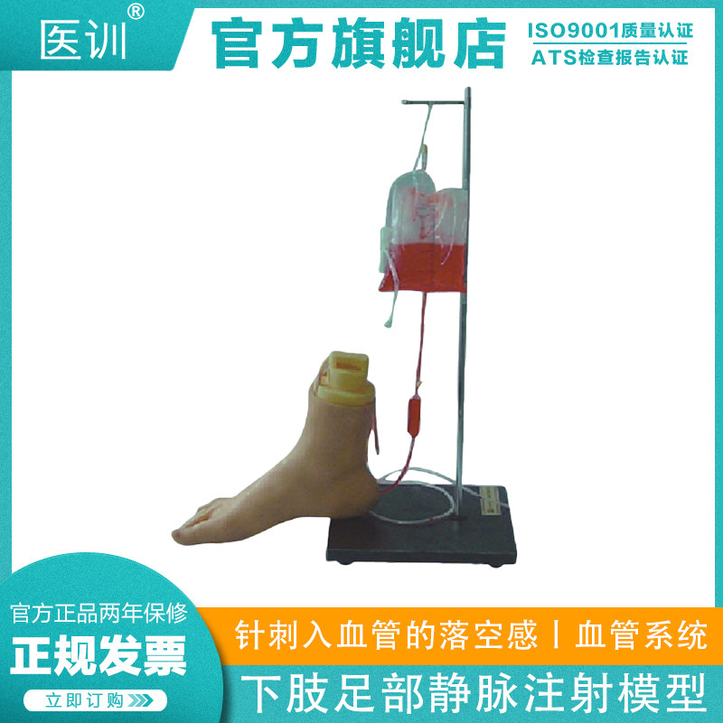 医训H3018下肢足部静脉注射仿真模型静脉血管系统模拟血液注入血管系统