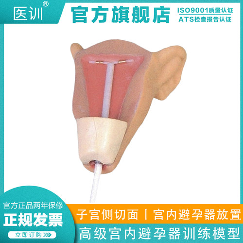 高级宫内避孕训练模型医训