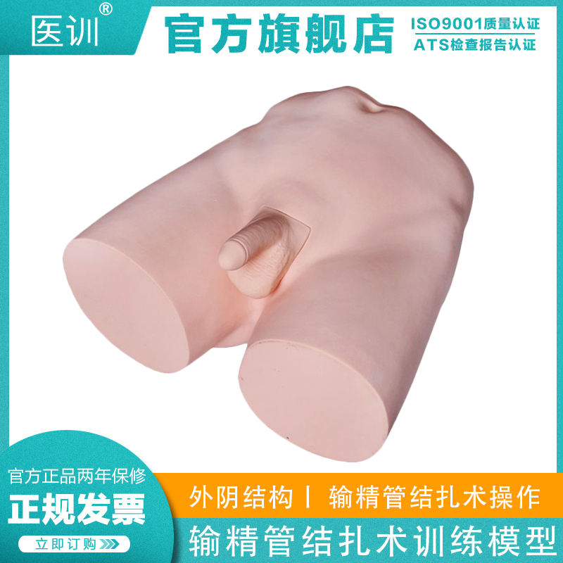 输精管结扎术训练模型医训