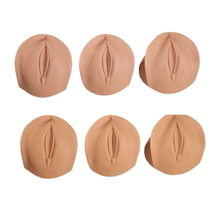 医训 YX/9产前宫颈变化与产道关系模型分娩生产宫颈口变化模具六种不同宫颈变化与产道关系模块组成