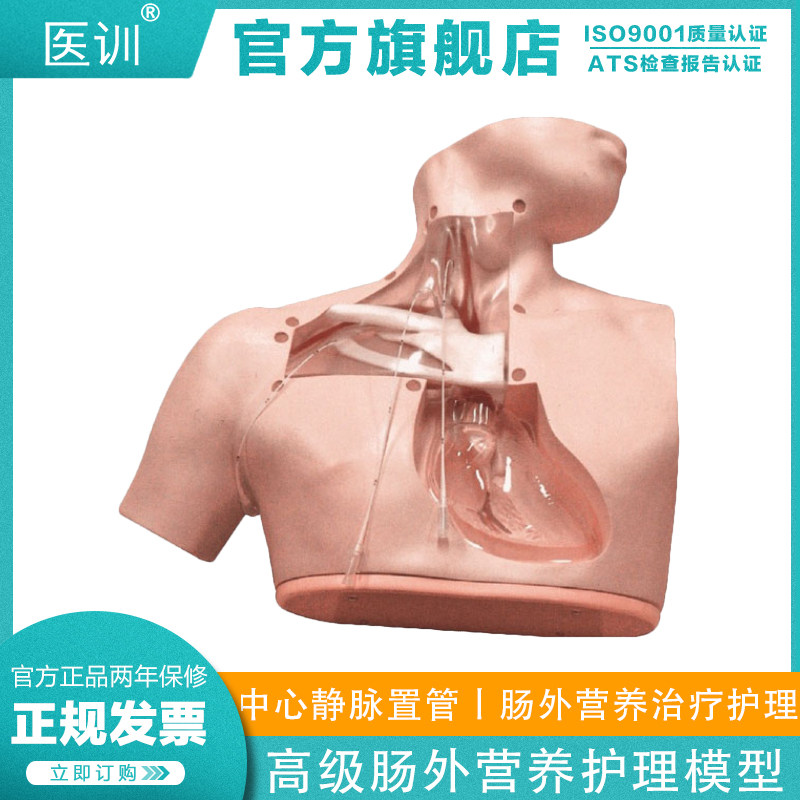 yx/72高级肠外营养护理模型中心静脉插管穿刺训练习模型透明胸腔模型