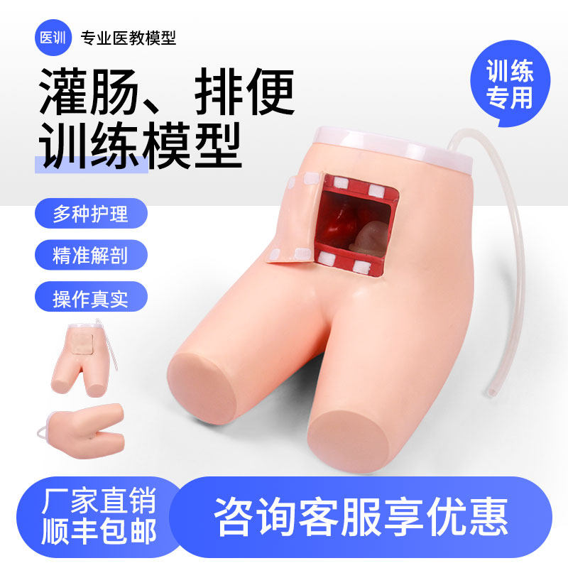 高级灌肠和排便模型医训
