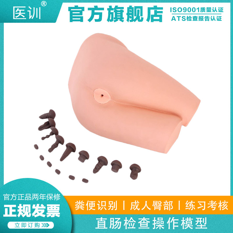 医训 YX/LV39A直肠检查操作模型粪便评估模型成人臀部模型13种肠道疾病9种类型模拟粪便供识别