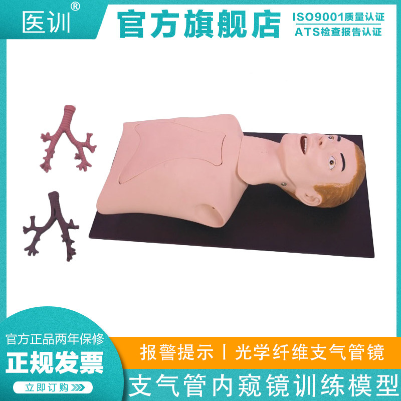 医训 YX/LV44支气管肺模拟常规操作内窥镜训练模型 光学纤维检查肺部听诊经口气管插管人体教具