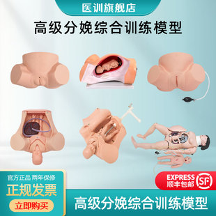 医学教学道具分娩难产助产训练模型 模拟真实场景实操多功能分娩难产助产训练模型