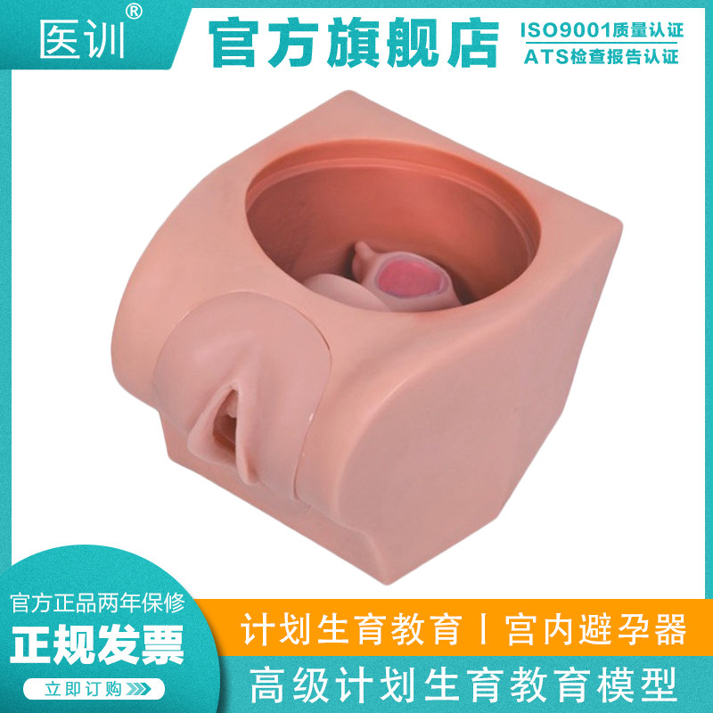 医训 YX/T33B高级计划生育教育模型技能操作训练考核宫内避孕器上环训练道具子宫解剖模型教具