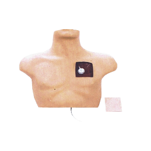 医训L61静脉介入训练模型成人上半身肘正中静脉穿刺颈内静脉锁骨下静脉穿刺练习正确穿刺有回血产生