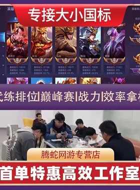 王者荣耀代练工作室打大小国服省金标巅峰赛排位上分刷战力小魔方