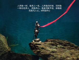 6cm黄铜合金动漫手办鱼缸造景摆件游戏黑神话孙行者悟空齐天大圣