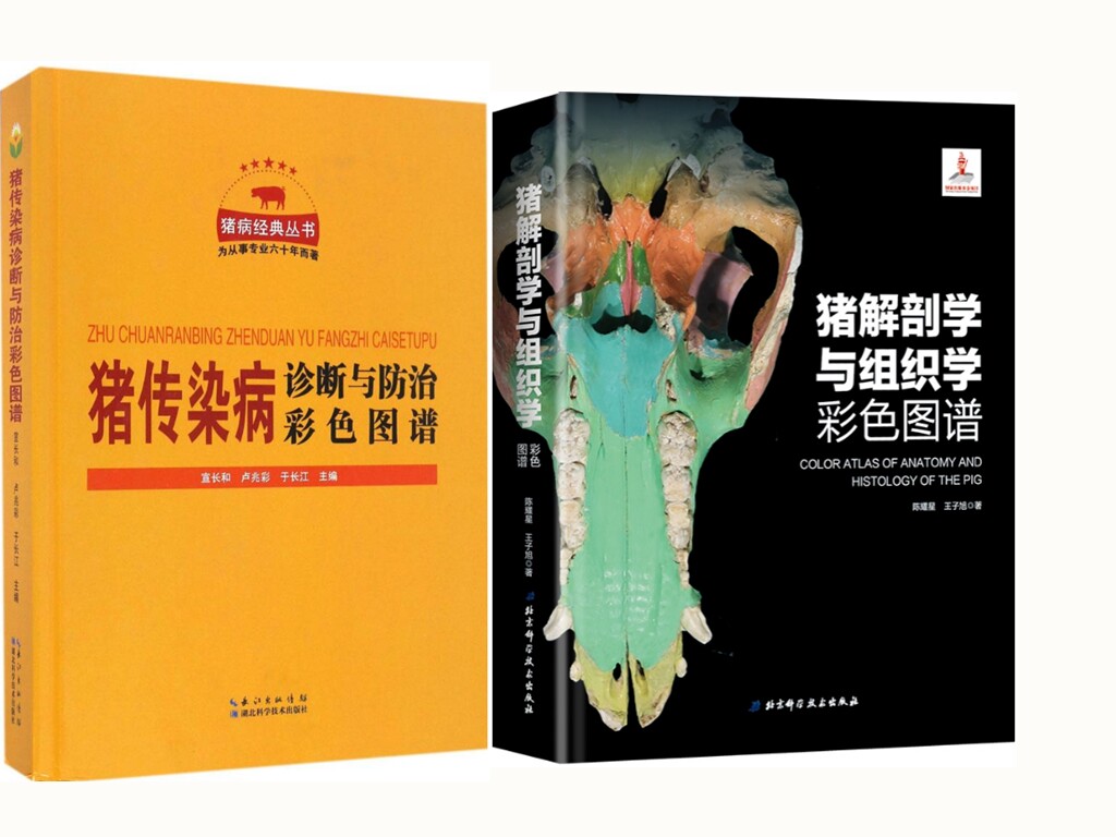 猪传染病诊断与防治彩色图谱+猪解剖学与组织学彩色图谱 套装两本