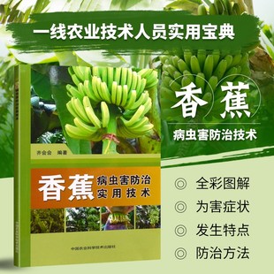 香蕉病虫害防治实用技术齐会会香蕉种植技术香蕉病虫害防治新技术香蕉除虫用药指南香蕉种植生产技术书香蕉种植栽培技术大全书籍
