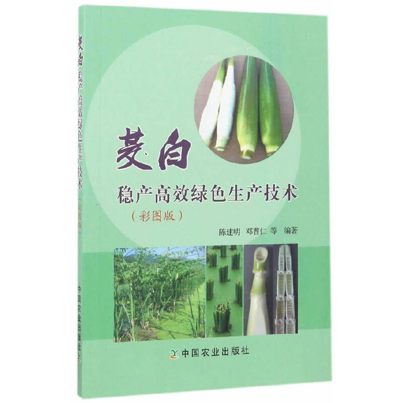 茭白稳产高效绿色生产技术 彩图版 茭白高效栽培技术书籍 茭白病虫草害识别与生态控制 茭白种植书籍 蔬菜种植栽培技术指导书籍