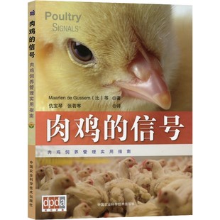 肉鸡的信号 荷兰引进 肉鸡饲养管理书籍 肉鸡养殖书