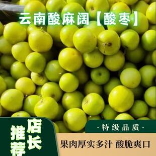 云南酸麻阔果嘘嘘果西西果当季新鲜酸脆嫁接原树水果孕妇小酸枣