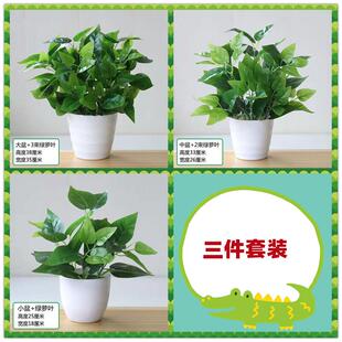 仿真绿萝绿植盆栽套装 饰品摆件 塑料花家居室内客厅茶几绿叶阳台装