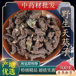 天葵子中药材500g正品新货紫背天葵根千年老鼠屎散血珠可磨粉精选
