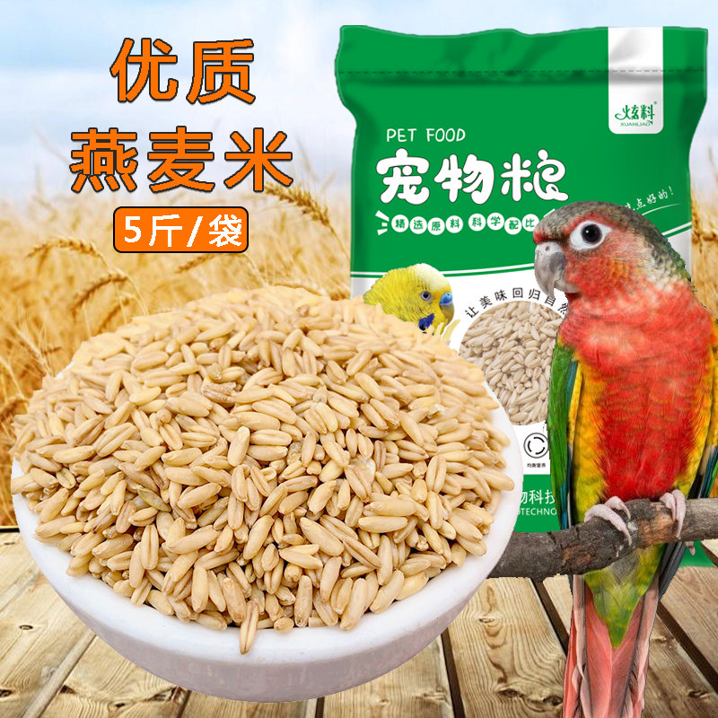炫料燕麦米中型鹦鹉玄凤鸽粮图片