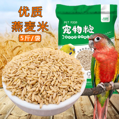 炫料燕麦米中型鹦鹉玄凤鸽粮饲料
