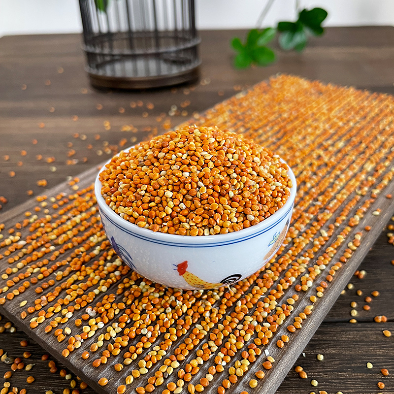 炫料红谷子黄谷子带壳玄凤鸟食