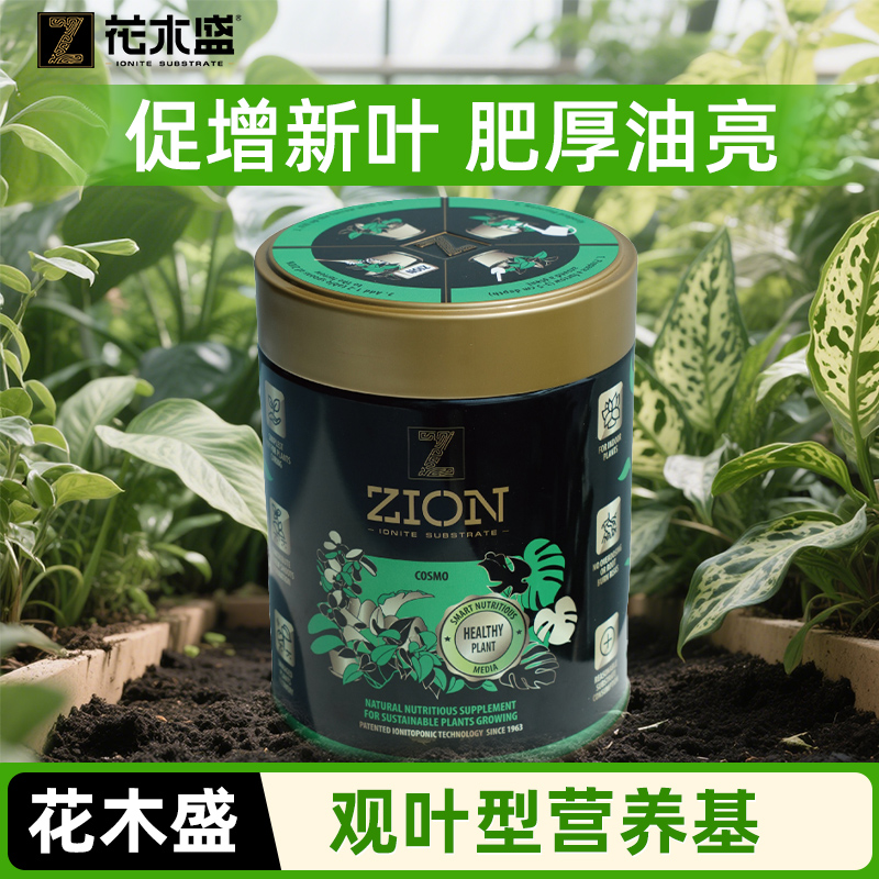花木盛观叶绿植及多肉型枝繁叶茂