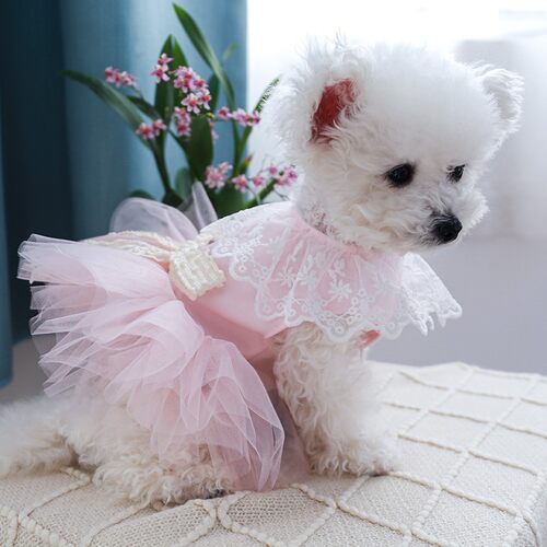 小狗狗衣服春夏薄款粉色蓬蓬纱裙公主风比熊博美泰迪幼犬宠物服饰