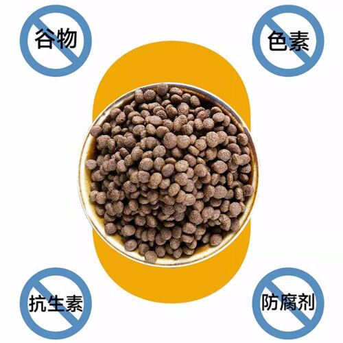 冻干多拼猫粮主粮成小猫咪全价蓝猫布偶全品种猫粮袋装高品质主食
