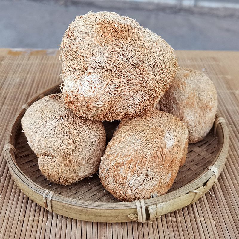 滇之山乡云南猴头菇干货菇菌菇非野生特产无硫自然干250克品质好