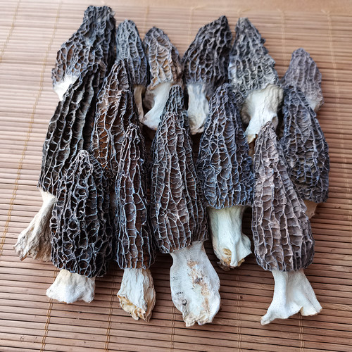 云南羊肚菌干货特产蘑菇煲汤营养