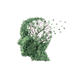 APOE基因检测 老年痴呆风险预测 APOE分型检测 阿尔茨海默病检测