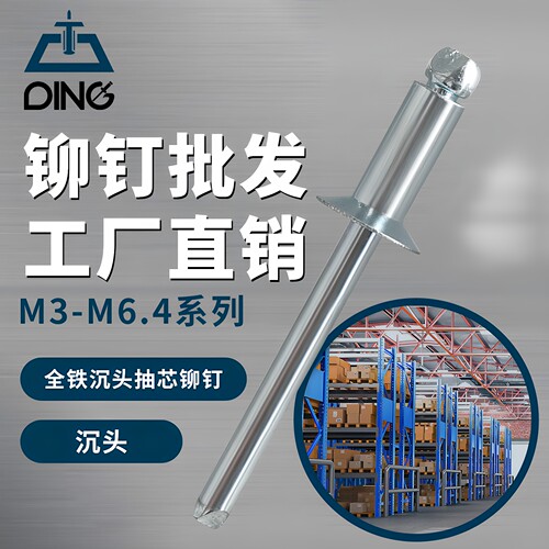 全铁镀蓝白锌抽芯铆钉工厂直营
