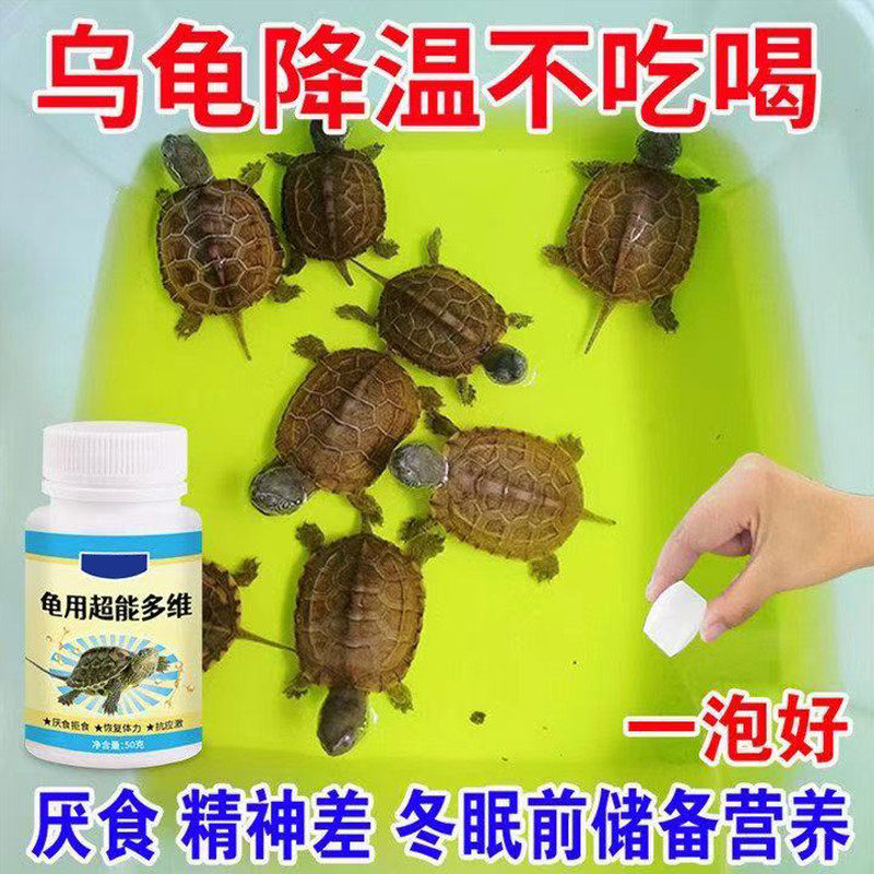 【乌龟不吃食】乌龟超能多维不爱吃饭食欲不振乌龟常备营养补充剂