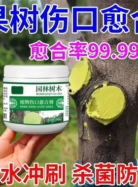 果树伤口愈合膏涂膜剂树枝嫁接月季修剪可用伤口愈合剂快速生长