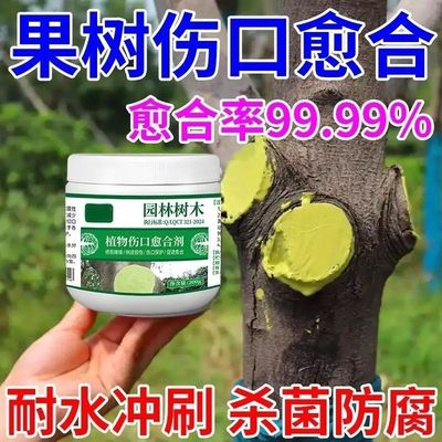 果树伤口愈合膏涂膜剂树枝嫁接月季修剪可用伤口愈合剂快速生长