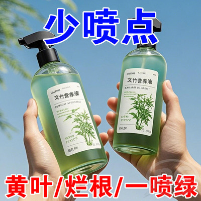 文竹营养液专治叶子发黄烂根落叶花元素液促生长花草花形营养液