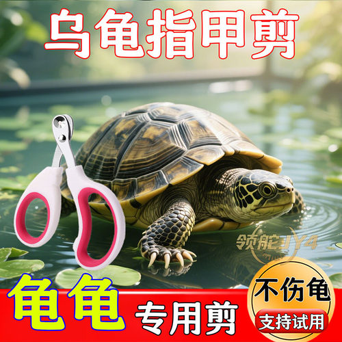 宠物安全指甲剪乌龟专用单孔双孔保护血线不伤甲圆孔设计小巧顺手