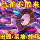 驱鸟彩带反光专用防鸟闪光加厚双面赶鸟惊鸟彩虹神器其它园艺用品