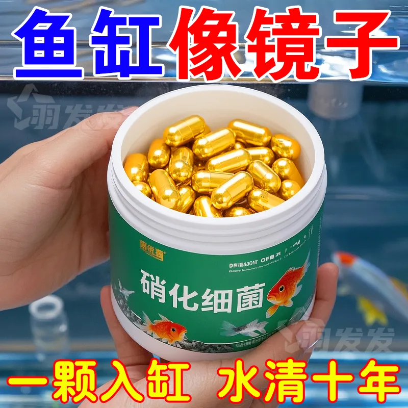 新款硝化细菌鱼缸水质稳定剂防白浊防菌膜水质清澈防绿水鱼病克星