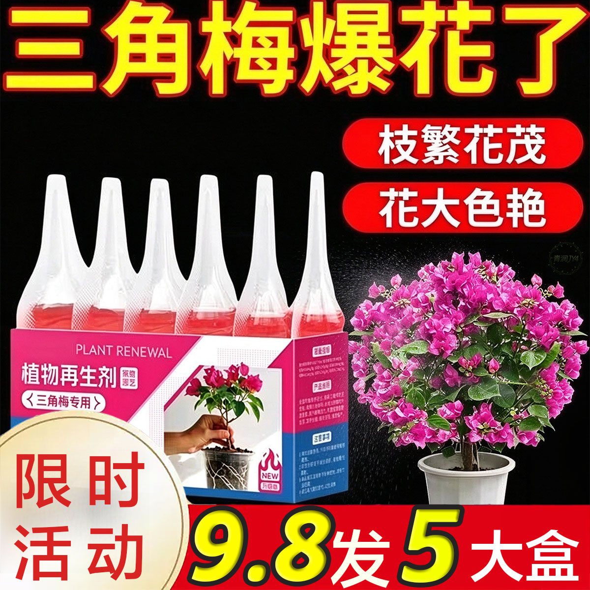 扦插育苗三角梅再生营养液生根养花肥促新芽长根养护预防花苞脱落