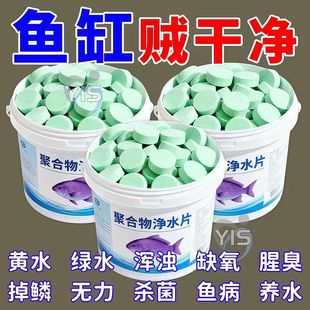 鱼缸高分子化合物净水片清洁硝化细菌去除异味净化水质鱼缸除腥味