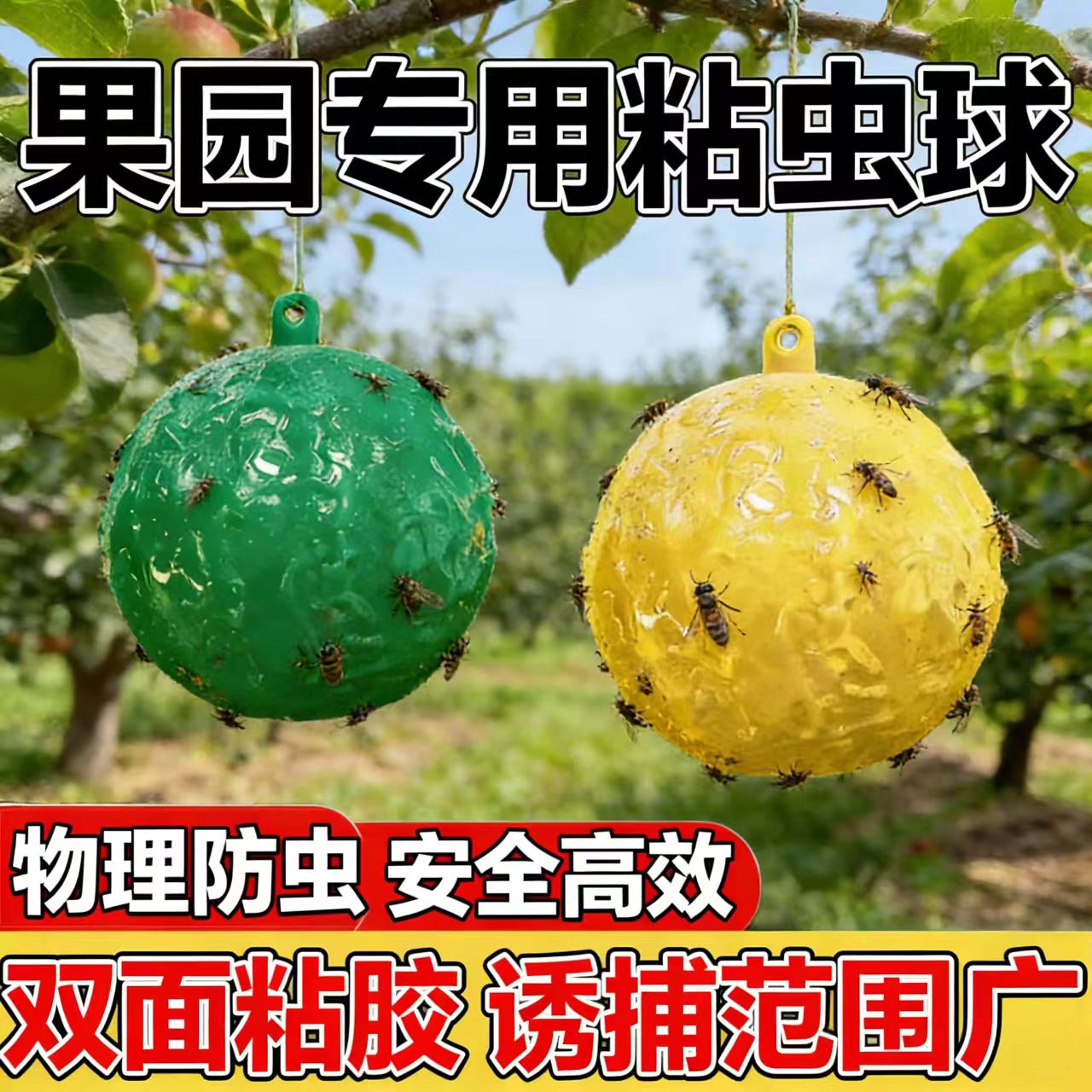 守果果室内果蝇小飞虫粘蝇神器