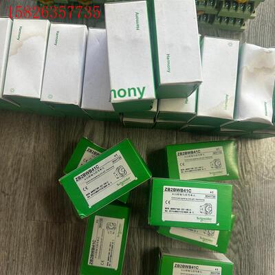 施耐德带灯按钮ZB2BWM41C (议价)